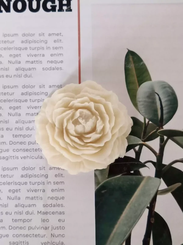 The Nélia Candle