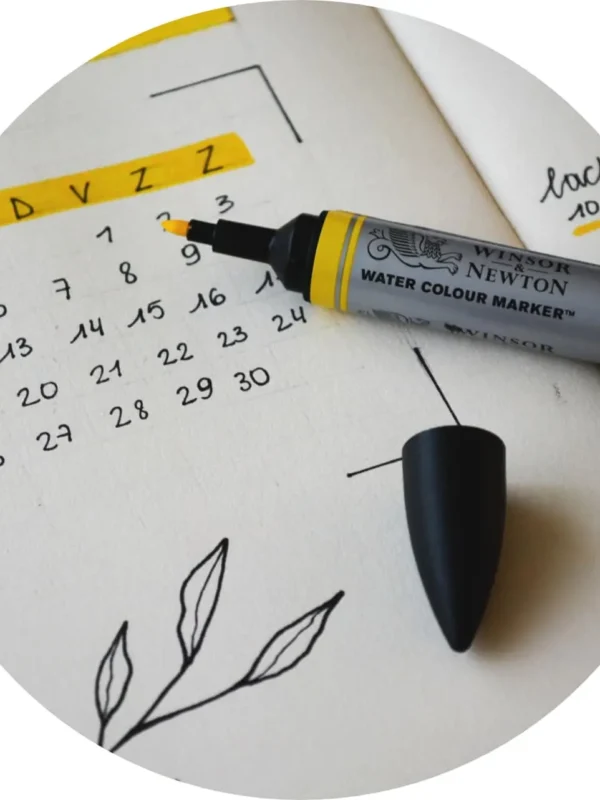 Time Management and Planning Consultation