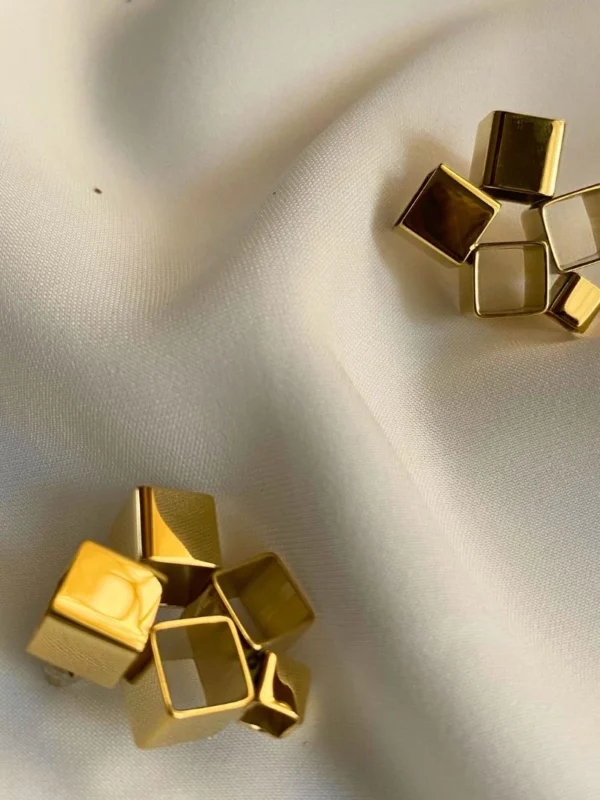 Liora Stainless Steel Earrings