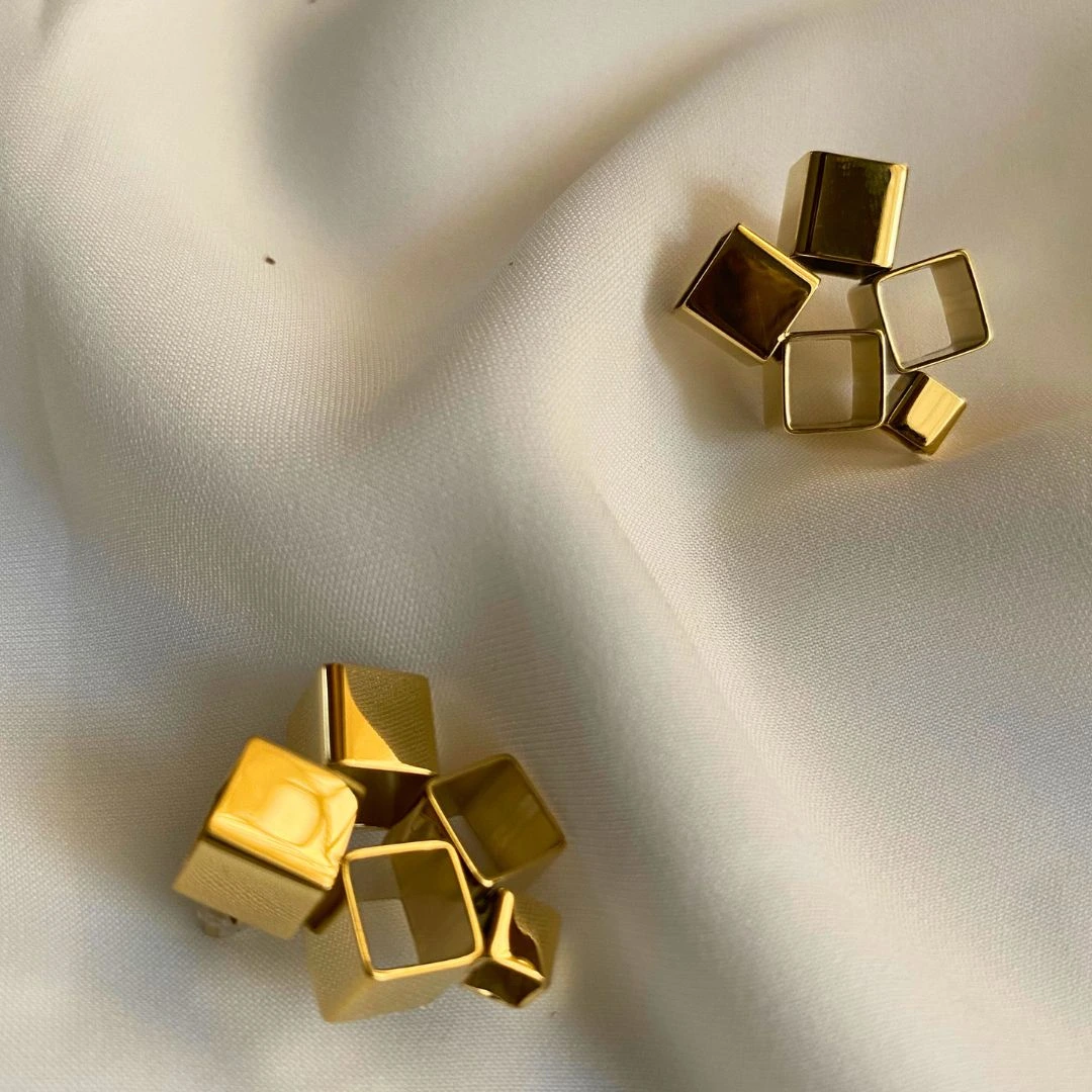 Liora Stainless Steel Earrings