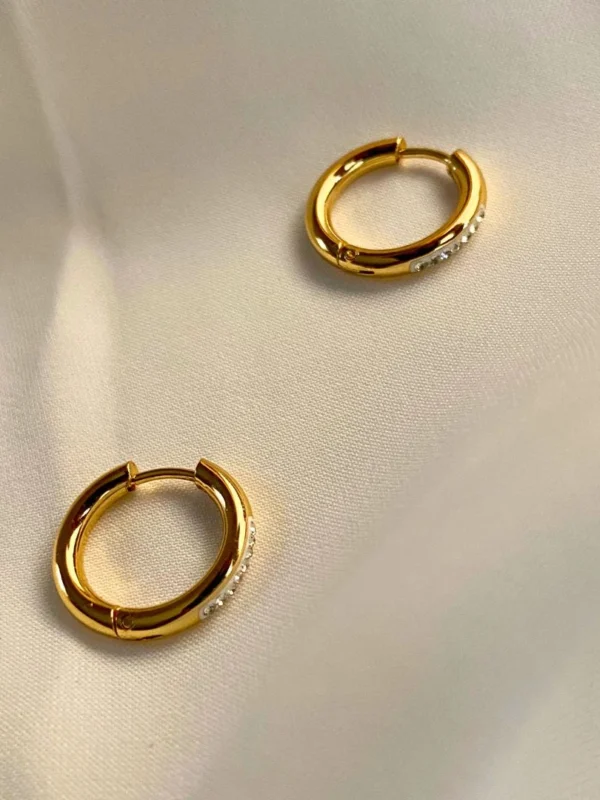 Saphine Stainless Steel Earrings