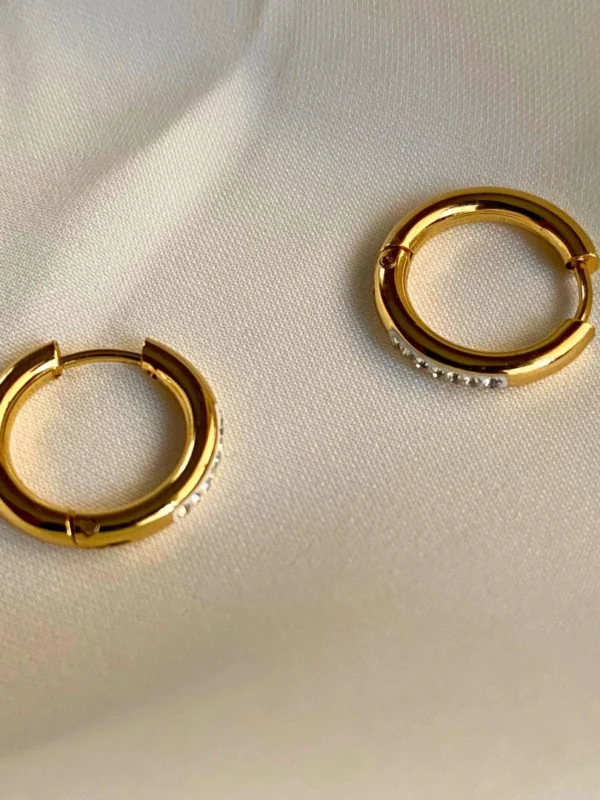 Saphine Stainless Steel Earrings