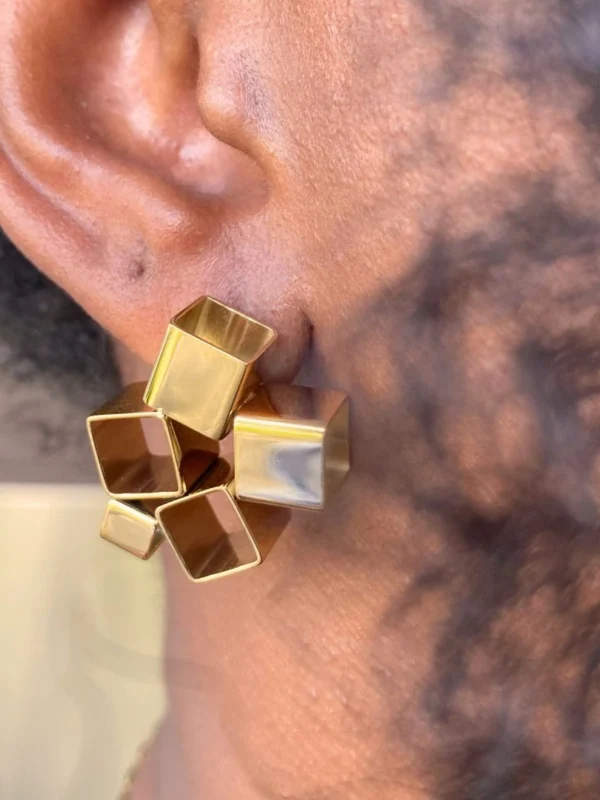 Liora Stainless Steel Earrings